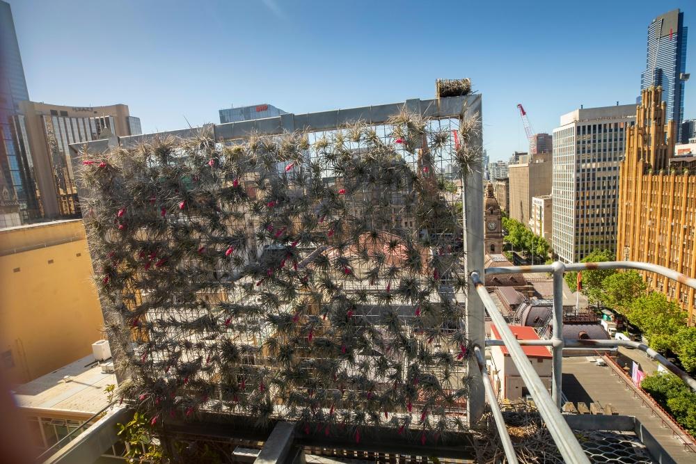 A metal grid with greenery on a rooftop in a city