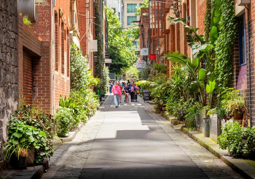 Guildford Lane plants