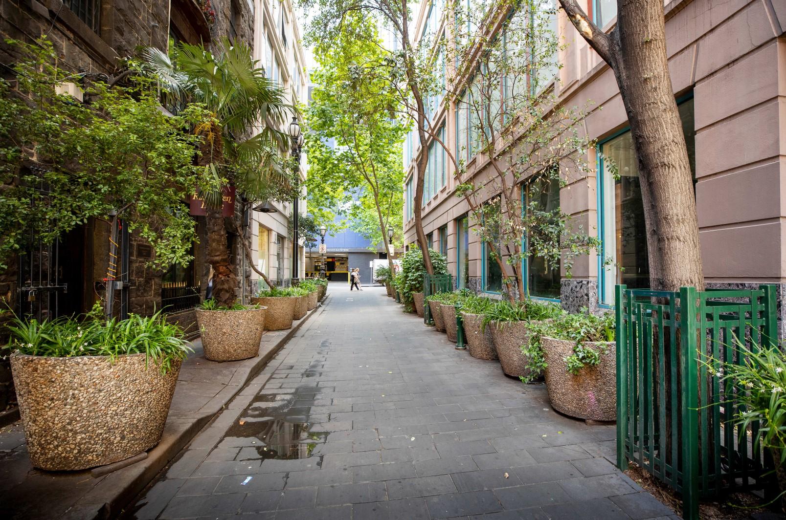 In between buildings with potted trees on Highlander Lane.