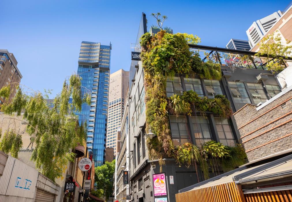 Building with green facade in Meyer's place