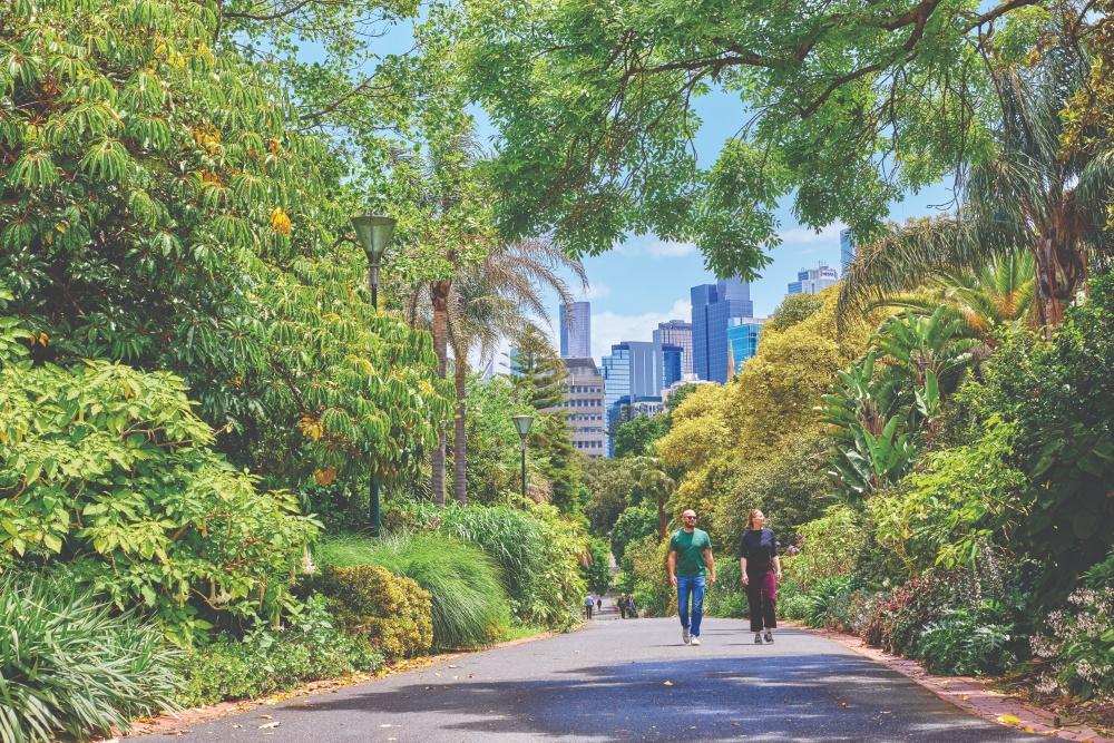 Two people walking down a park path surrounded by green plants and city skyline in background