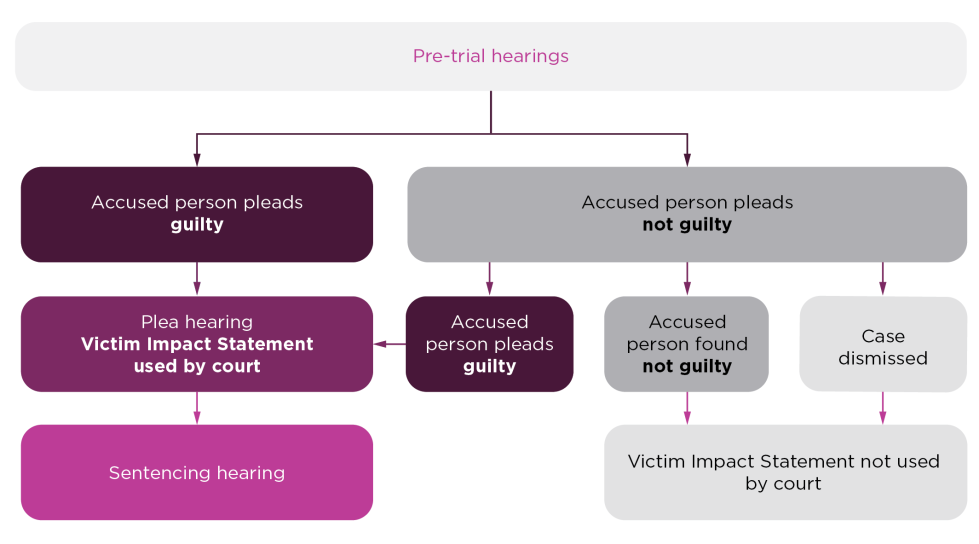 Flow chart showing court process for plea hearings. See below for full description.